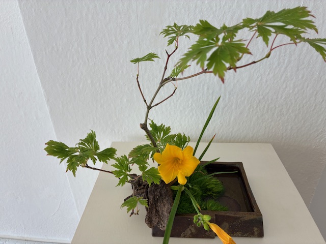 Vernissage der Ausstellung „Landschaften“ in Linz am Rhein