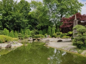 Korea als Kulturbrücke auch in der Gartenkunst